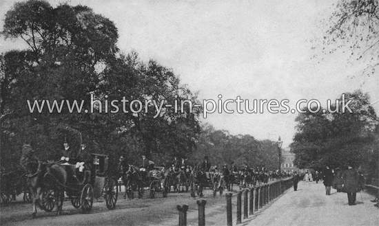 Hyde Park , London, c.1904.